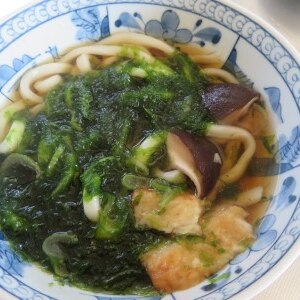 磯の香りが清々しい♪生青のりのおうどん